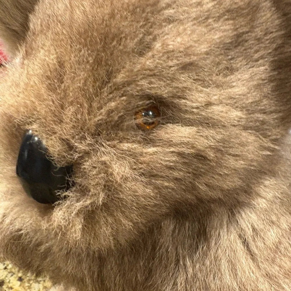 Vintage Stuffed Koala Bear made in Australia Real Kangaroo Fur Appx 15” Souvenir - Picture 3 of 13